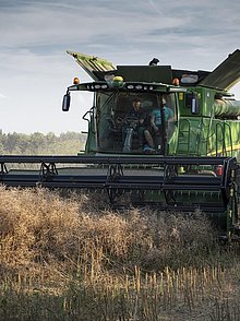 Eine große Erntemaschine erntet ein Getreidefeld