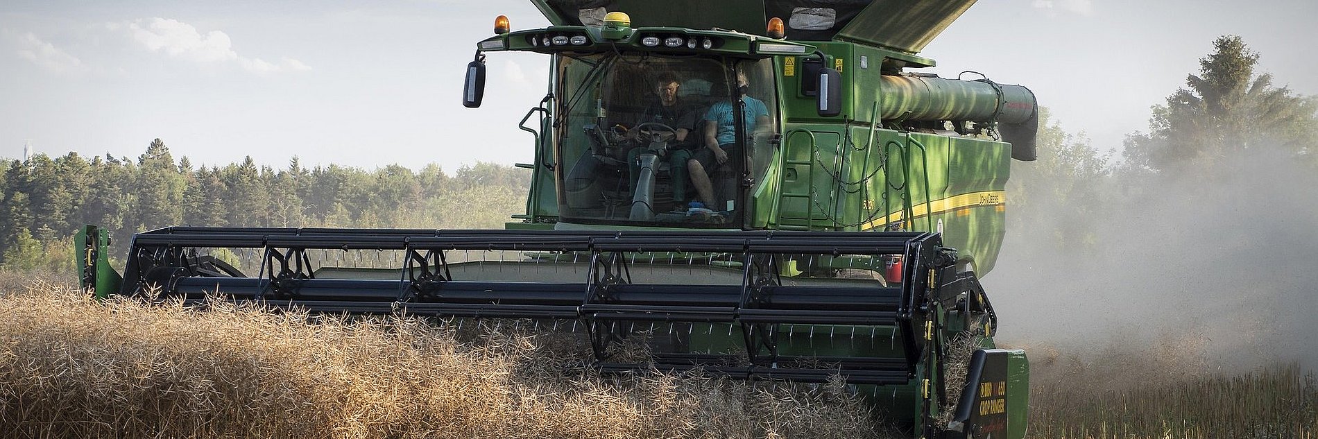 Eine große Erntemaschine erntet ein Getreidefeld