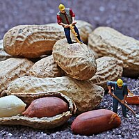 „Peanuts“ – oder: um welchen Einsatz geht es?
